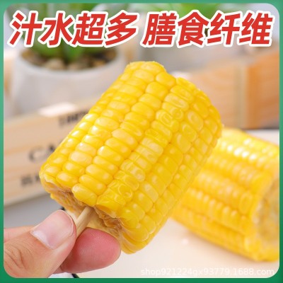 即食水果玉米段真空包装免煮甜小玉米学生宿舍零食早餐代餐家用图3