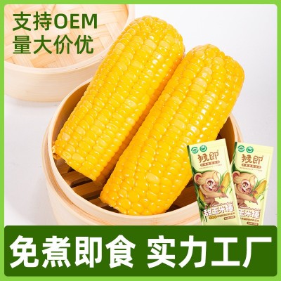 猴即广西水果甜玉米棒厂家直供批发一件代发真空即食甜嫩玉米代餐图1