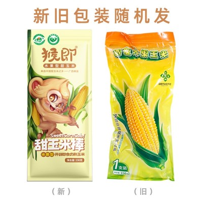 猴即广西水果甜玉米棒厂家直供批发一件代发真空即食甜嫩玉米代餐图2