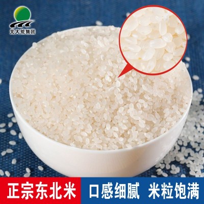 北大荒东北大米10斤珍珠米真空装新米上市大米5kg香米珍珠米粳米图3