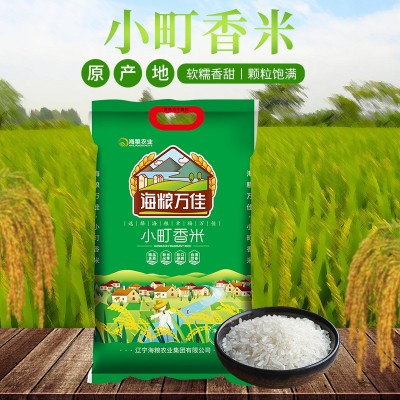 小町香米甄选优良产地粳米色泽白润鲜嫩清澈醇厚香甜香味浓郁批发