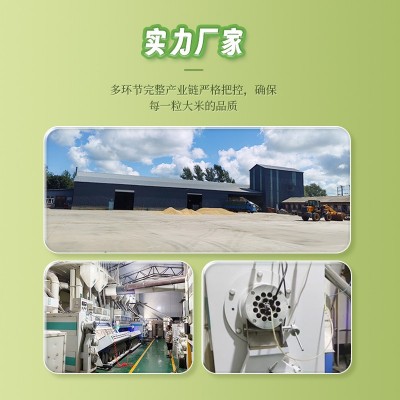 长粒香大米批发 2023年新米不惨一粒陈米米香有嚼劲五常大米批发图2