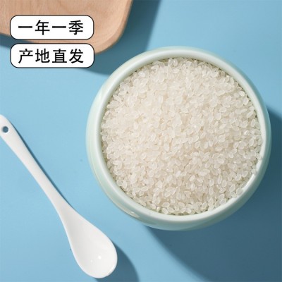 小町米 东北特产松花江大米20斤实惠装2023当季新米软糯弹滑现货图2