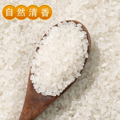 小町米 东北特产松花江大米20斤实惠装2023当季新米软糯弹滑现货图4