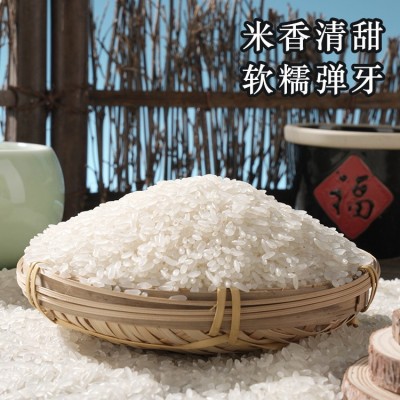 东北长粒香大米新米现磨现发10斤装正宗松花江大米产地直发长粒香图3