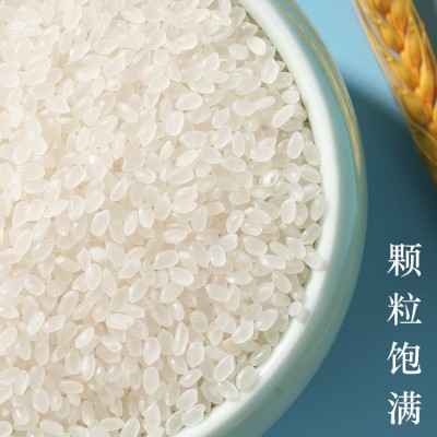 小粒香米东北特产松花江大米50斤当季新米现磨现发厂家现货直发米图3