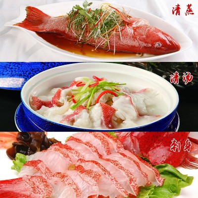 深海东星斑 工厂直销 有量有价 品质保证图3