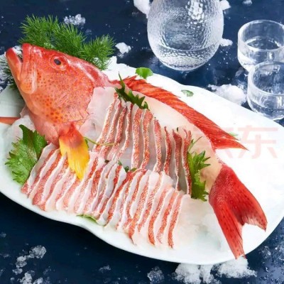 深海东星斑 工厂直销 有量有价 品质保证图4