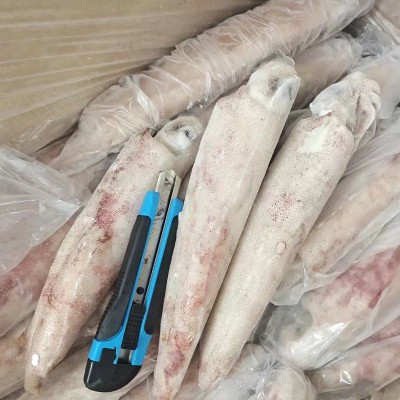 东山岛海钓鱿鱼（活冻） 刺身级 工厂直销 有量有价图4