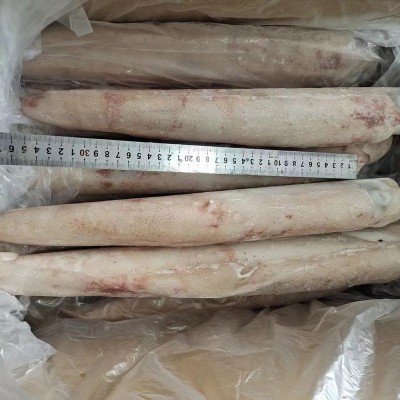 东山岛海钓鱿鱼（活冻） 刺身级 工厂直销 有量有价图2