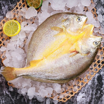 宁德新鲜大黄鱼开背黄鱼鲞冷冻海鲜批发香煎黄花鱼水产餐饮黄瓜鱼图3