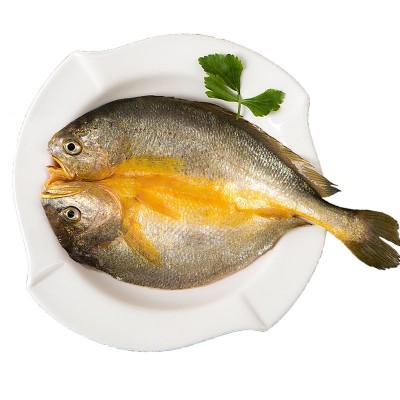 宁德新鲜大黄鱼开背黄鱼鲞冷冻海鲜批发香煎黄花鱼水产餐饮黄瓜鱼图4