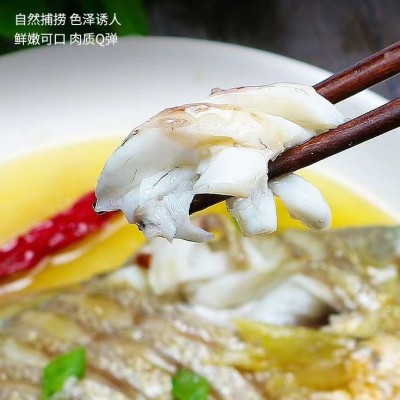 宁德新鲜大黄鱼开背黄鱼鲞冷冻海鲜批发香煎黄花鱼水产餐饮黄瓜鱼图5