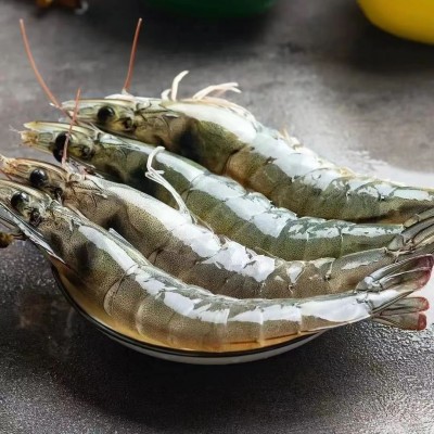 厄瓜多尔盐冻大虾白虾对虾基围虾鲜虾鲜活海鲜冷冻批发餐饮生鲜图4