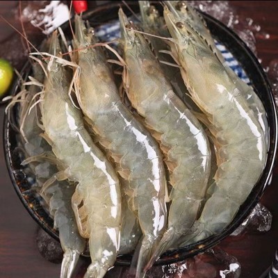 厄瓜多尔盐冻大虾白虾对虾基围虾鲜虾鲜活海鲜冷冻批发餐饮生鲜图3