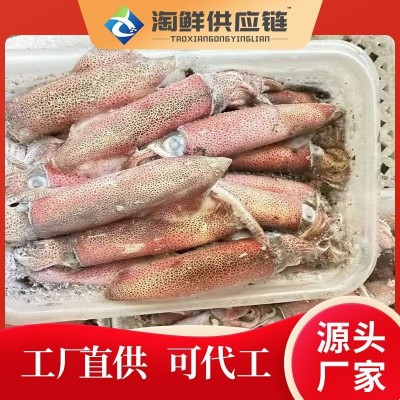 厂家直供东山岛本港野生小管鱿鱼大管中管活冻小管小鱿鱼灯光鱿鱼图3