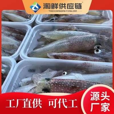 厂家直供东山岛本港野生小管鱿鱼大管中管活冻小管小鱿鱼灯光鱿鱼图4