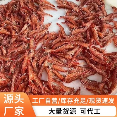 野生樱花虾刺身甜虾鲜活冷冻特大鸡冠虾斑节虾新鲜海虾海鲜水产品图2