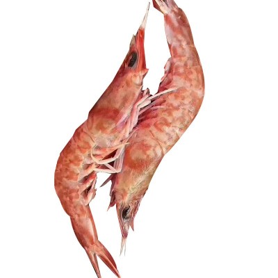 野生樱花虾刺身甜虾鲜活冷冻特大鸡冠虾斑节虾新鲜海虾海鲜水产品图5