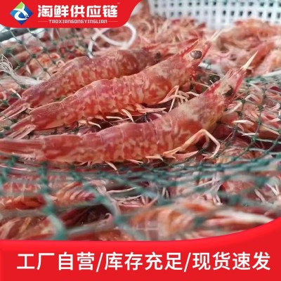 野生樱花虾刺身甜虾鲜活冷冻特大鸡冠虾斑节虾新鲜海虾海鲜水产品图4