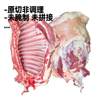 新疆羊肉工厂生鲜国产新鲜包邮4斤羔羊排羊肉手抓整扇烧烤商用图2
