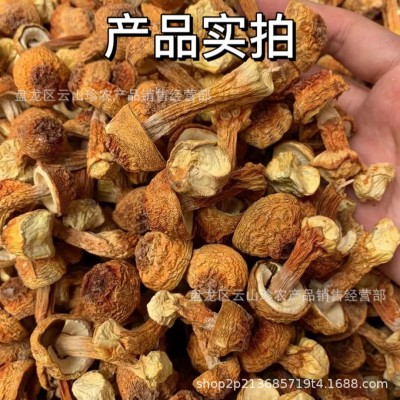[姬松茸]云南特产松茸菇批发一件代发巴西菇图2