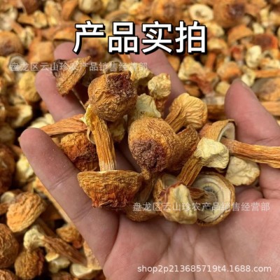[姬松茸]云南特产松茸菇批发一件代发巴西菇图4