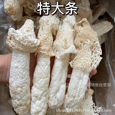 【竹荪】云南竹荪竹毛肚贵州红托织金竹荪干货批发一件代发图4