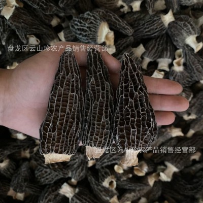 羊肚菌干货云南特产高山羊肚菌干货头茬剪柄羊肚菌煲汤批发代发图3