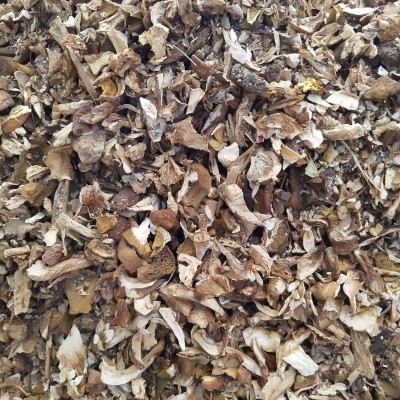 黄牛肝菌 美味牛肝菌 熬汤牛肝菌火锅底料调汤菌批发图3