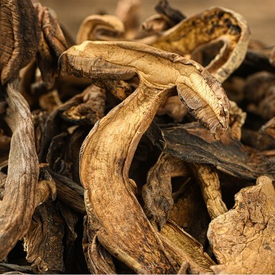 云南特产黑牛肝菌 小黑桃牛肝菌火锅煲汤原材料食用黑牛肝菌批发图2