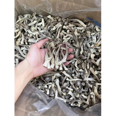 菌汤鹿茸菇鹿茸菌干货包装散装批发如意情鹿茸菇多种规格产地批发图3