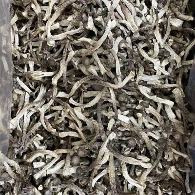 菌汤鹿茸菇鹿茸菌干货包装散装批发如意情鹿茸菇多种规格产地批发图1