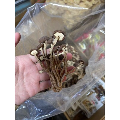 新货茶树菇干货不开伞开伞散装批发500g新菇厂家直供产地直销图5
