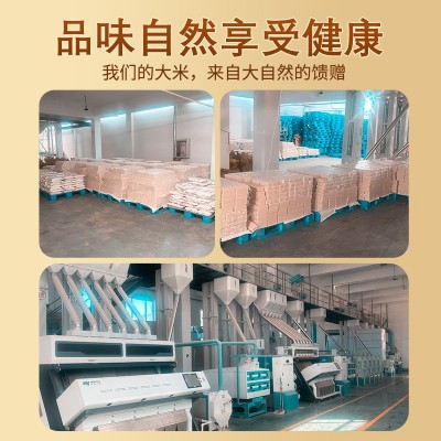 豆农亿品东北大米5斤一袋小粒香一年一季吉林大米图4