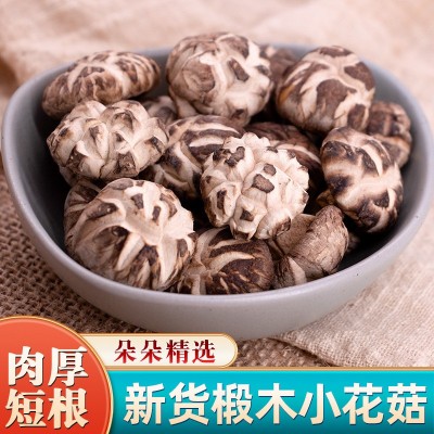 椴木香菇小花菇干货无根肉厚花菇冬菇农家特产食用菌干货蘑菇批发图2