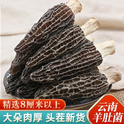 大个羊肚菌干货8-12cm新货短柄云南特产新鲜干羊肚菌汤包菌菇批发图2