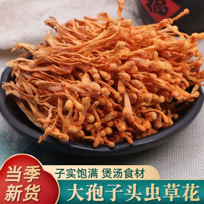 孢子头虫草花干货无硫云南特产金虫草蛹虫草食用菌煲汤材料批发图2
