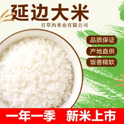 批发东北大米10斤装家用大米颗粒饱满大米新米批发社区团购图4
