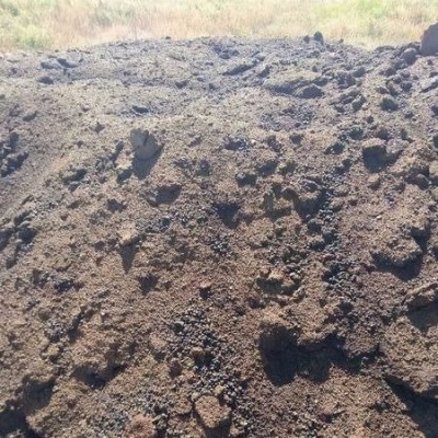 郴州牛羊粪农家肥 增强根系活力 福禄羊粪块提高蜜桔的耐涝能力图3