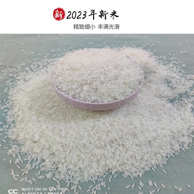 广西上林九七香米10斤软糯不抛光长粒香大米5kg真空包装新米图2