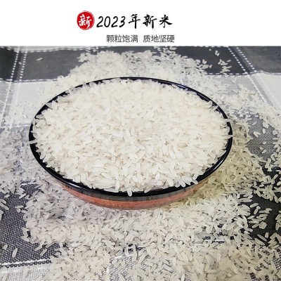 大米10斤批发广西上林香丝苗米5kg真空南方长粒香米新米厂家图3