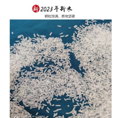 【高性价比】广西上林长粒大米软糯香丝苗米10斤袋装2023新米5KG图2