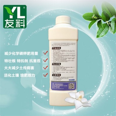矿源黄腐酸钾 微生物菌剂 钾肥 改善土壤 全水溶肥图2