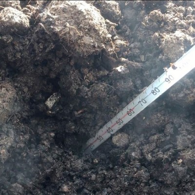 高温羊粪 发酵纯羊粪有机肥 益生菌 生物肥瓜果蔬菜专用肥批发图4
