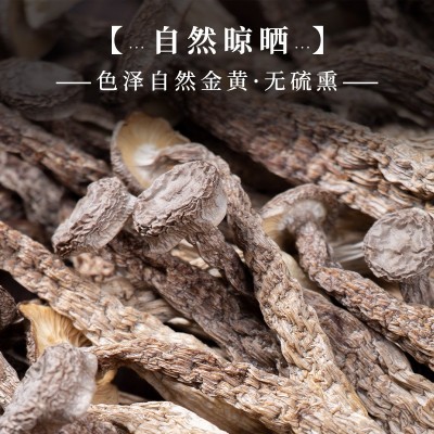 鹿茸菇干货散装云南特产煲汤食材脆脆菇大件批发现货厂家菌菇干貨图3