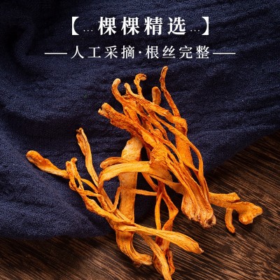 【源头厂家】虫草花批发云南零食特产干货煲汤食材蛹虫草菌子松茸图3