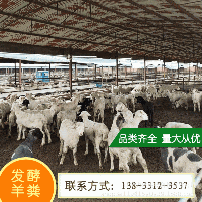 发酵羊粪有机肥高温腐熟有机羊粪批发蔬菜果树种植用羊粪肥料辽宁图3