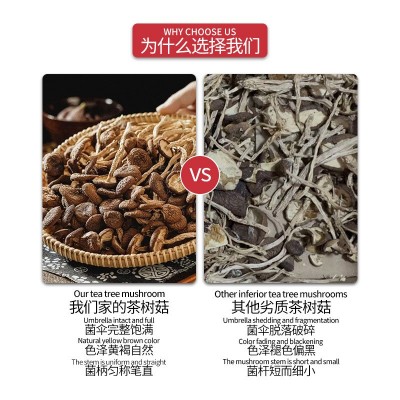 云南特产未开伞茶树菇干货餐饮生鲜无沙剪柄3号4号5号茶树菇干货图2