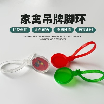 鸡鸭鹅禽类养殖溯源吊牌 螃蟹戒指绑腿扎带 可定 制记号鸡脚环图1